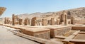 Ruins of the Hall of the Hundred Columns, Persepolis Royalty Free Stock Photo